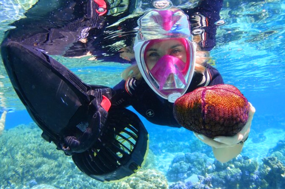 Moorea Snorkeling Tours - Book Here! 