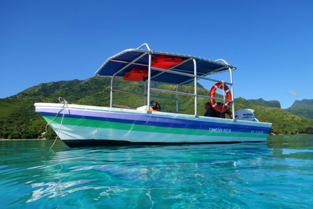 BEST Moorea Snorkeling Tours - Reservations 