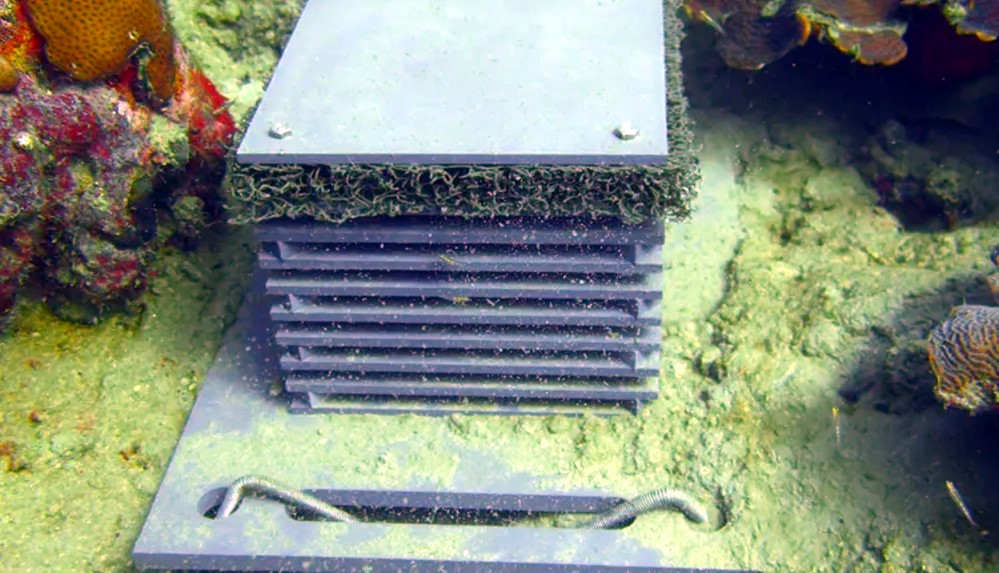 Autonomous Reef Monitoring Structure